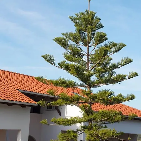 Panoramikos Asfendiou