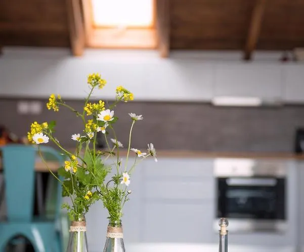 Panoramikos 아파트