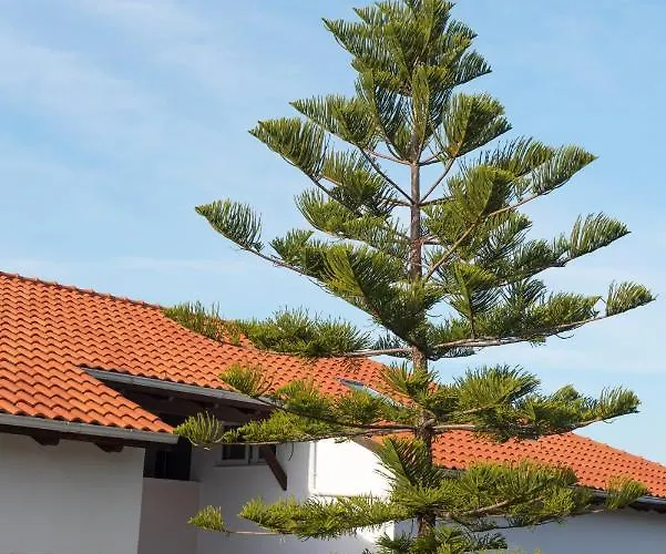 Panoramikos Asfendiou